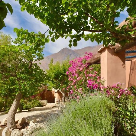 Refugio Misterios Del Elqui Bed & Breakfast Pisco Elqui Eksteriør bilde