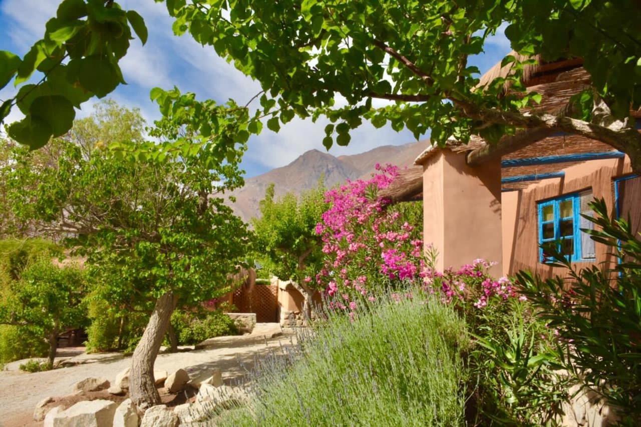 Refugio Misterios Del Elqui Bed & Breakfast Pisco Elqui Eksteriør bilde