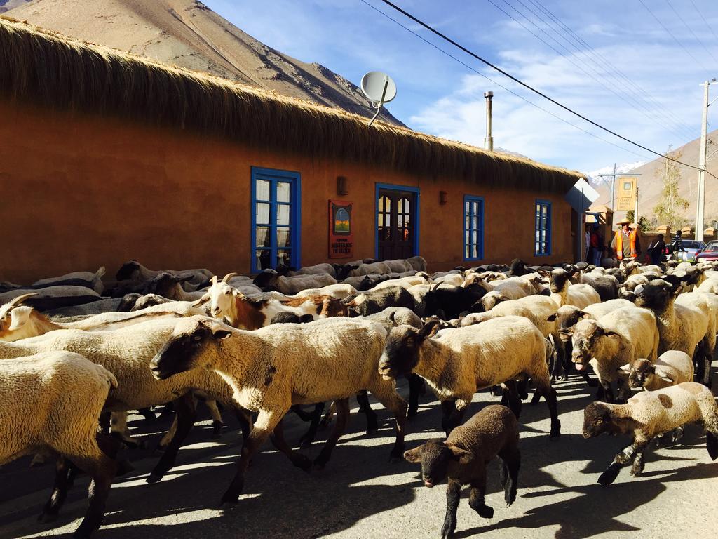 Refugio Misterios Del Elqui Bed & Breakfast Pisco Elqui Eksteriør bilde