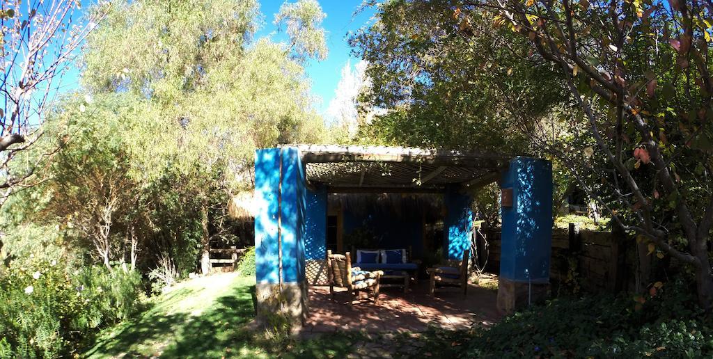 Refugio Misterios Del Elqui Bed & Breakfast Pisco Elqui Eksteriør bilde