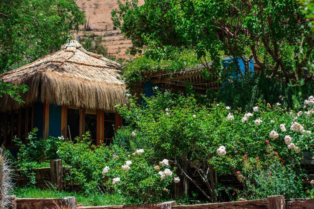 Refugio Misterios Del Elqui Bed & Breakfast Pisco Elqui Eksteriør bilde