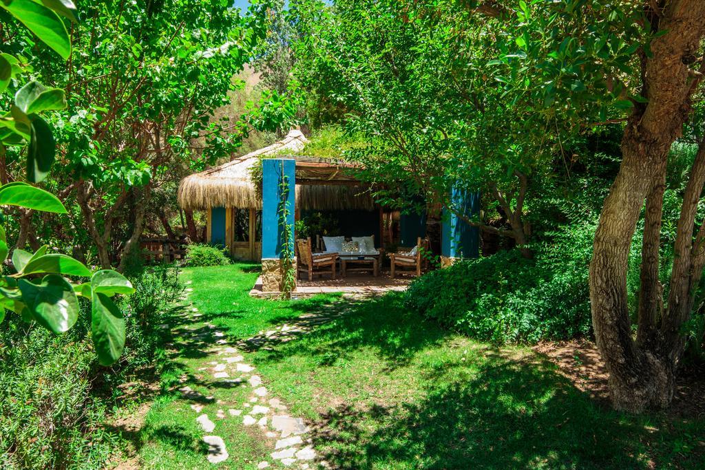 Refugio Misterios Del Elqui Bed & Breakfast Pisco Elqui Eksteriør bilde