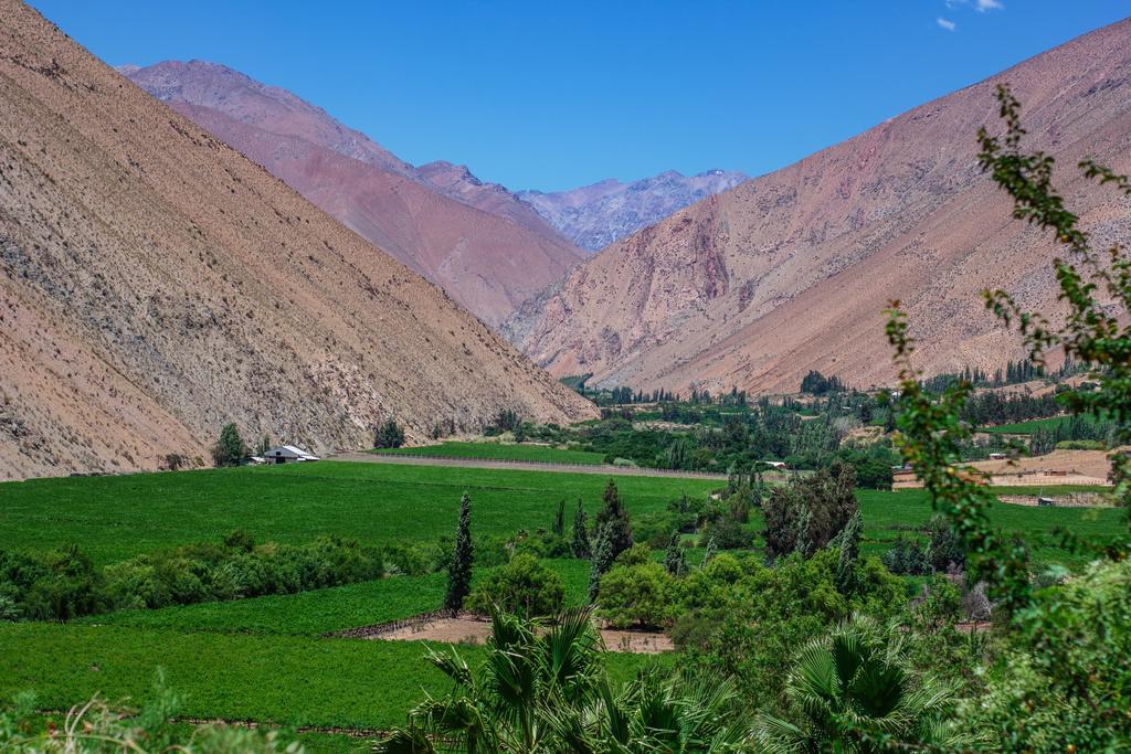 Refugio Misterios Del Elqui Bed & Breakfast Pisco Elqui Eksteriør bilde